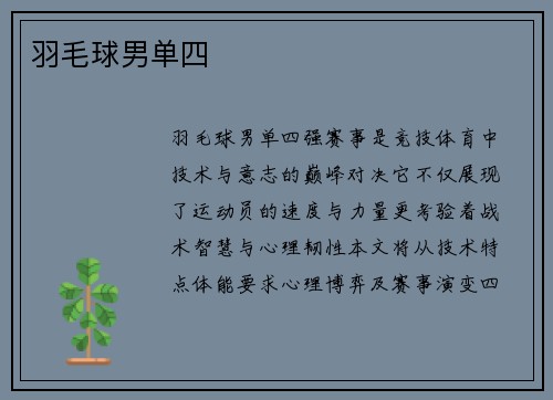 羽毛球男单四